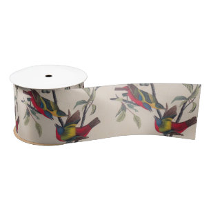 Audubon Painted Bunting Bird Wildlife Satin Ribbon