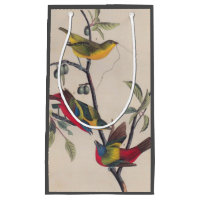 Audubon Painted Bunting Bird Wildlife