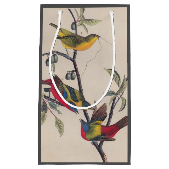 Audubon Painted Bunting Bird Wildlife Small Gift Bag (Front)
