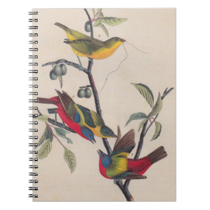 Audubon Painted Bunting Bird Wildlife Spiral Notebook