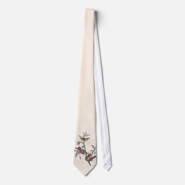 Audubon Painted Bunting Bird Wildlife Tie (Front)