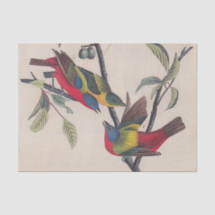 Audubon Painted Bunting Bird Wildlife Tissue Paper
