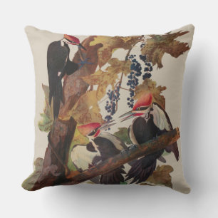 Audubon Pileated Woodpecker Bird Painting Cushion