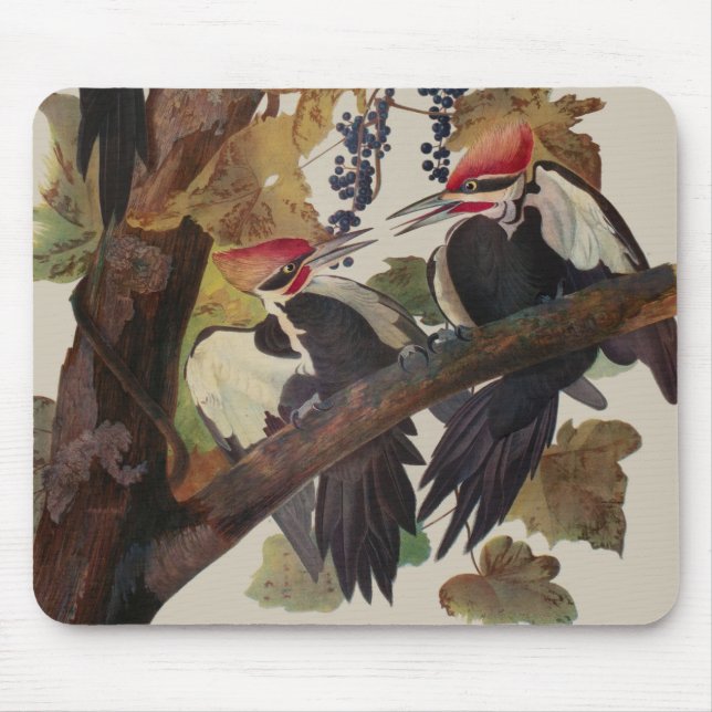 Audubon Pileated Woodpecker Bird Painting Mouse Pad (Front)