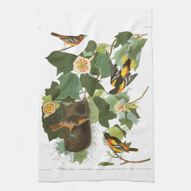 Audubon Plate 12 Baltimore Oriole Tea Towel (Vertical)