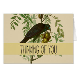 Audubon Purple Grackle Bird Print Vintage Botanic