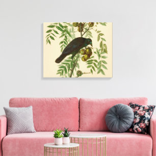 Audubon Purple Grackle Bird Print Vintage Botanic
