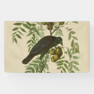 Audubon Purple Grackle Bird Print Vintage Botanic Banner