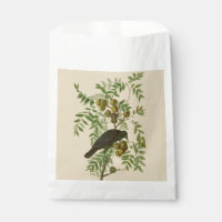 Audubon Purple Grackle Bird Print Vintage Botanic