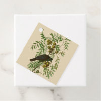 Audubon Purple Grackle Bird Print Vintage Botanic
