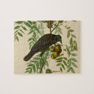 Audubon Purple Grackle Bird Print Vintage Botanic Jigsaw Puzzle