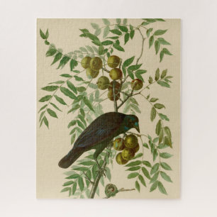 Audubon Purple Grackle Bird Print Vintage Botanic Jigsaw Puzzle