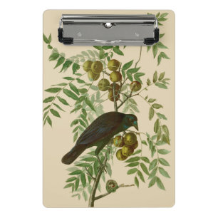 Audubon Purple Grackle Bird Print Vintage Botanic Mini Clipboard