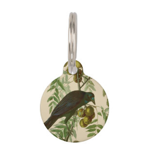Audubon Purple Grackle Bird Print Vintage Botanic Pet Tag