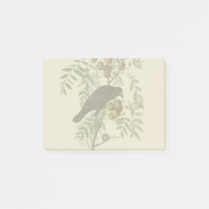 Audubon Purple Grackle Bird Print Vintage Botanic Post-it Notes