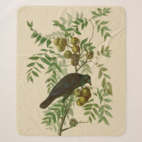 Audubon Purple Grackle Bird Print Vintage Botanic