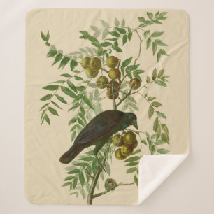 Audubon Purple Grackle Bird Print Vintage Botanic Sherpa Blanket