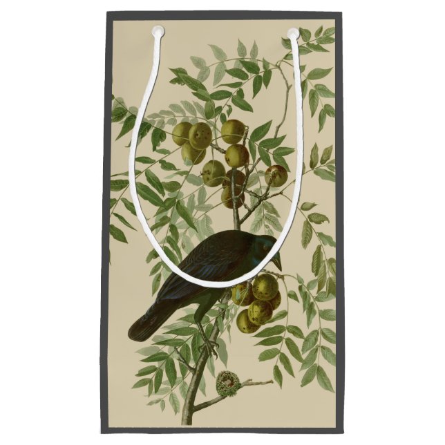 Audubon Purple Grackle Bird Print Vintage Botanic Small Gift Bag (Front)