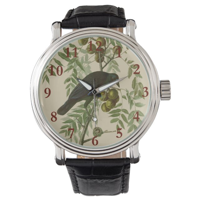 Audubon Purple Grackle Bird Print Vintage Botanic Watch (Front)