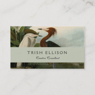 Audubon Purple Heron Reddish Egret Print: Bird Art Business Card