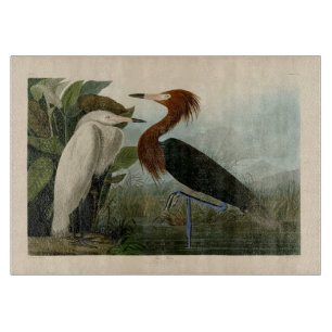 Audubon Purple Heron Reddish Egret Print: Bird Art Cutting Board