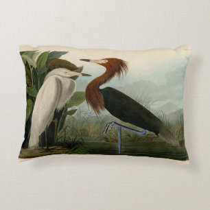 Audubon Purple Heron Reddish Egret Print: Bird Art Decorative Cushion