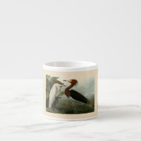 Audubon Purple Heron Reddish Egret Print: Bird Art