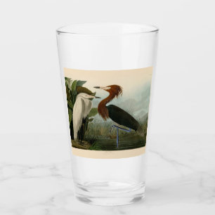 Audubon Purple Heron Reddish Egret Print: Bird Art Glass