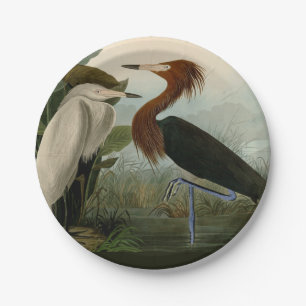 Audubon Purple Heron Reddish Egret Print: Bird Art Paper Plate