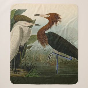 Audubon Purple Heron Reddish Egret Print: Bird Art Sherpa Blanket