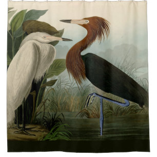 Audubon Purple Heron Reddish Egret Print: Bird Art Shower Curtain