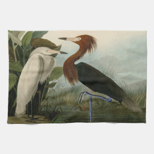 Audubon Purple Heron Reddish Egret Print: Bird Art Tea Towel
