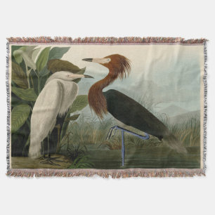 Audubon Purple Heron Reddish Egret Print: Bird Art Throw Blanket