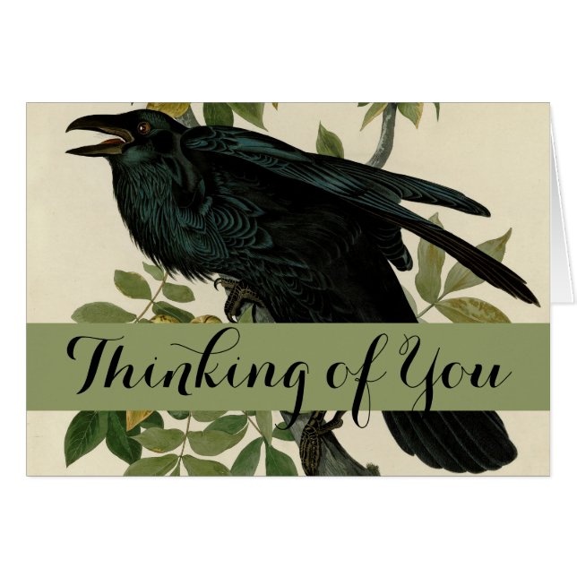 Audubon Raven Bird Classic Artwork (Front Horizontal)