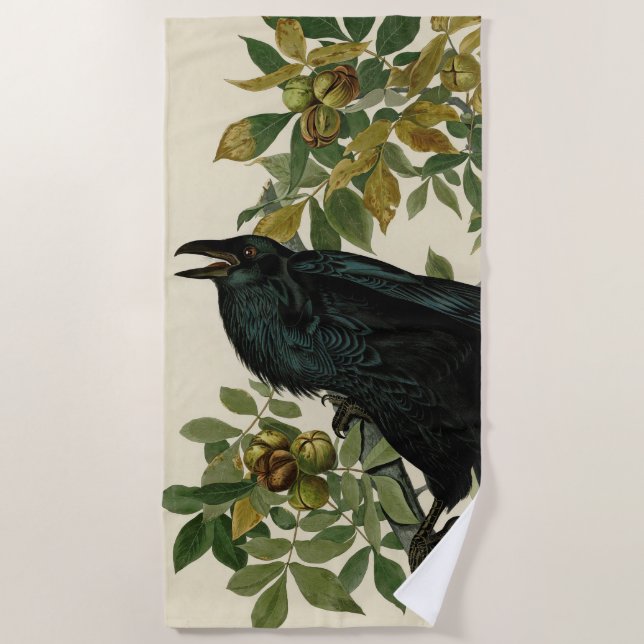 Audubon Raven Bird Classic Artwork Beach Towel (Front)