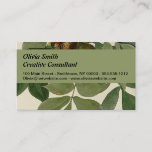 Audubon Raven Bird Classic Artwork Business Card