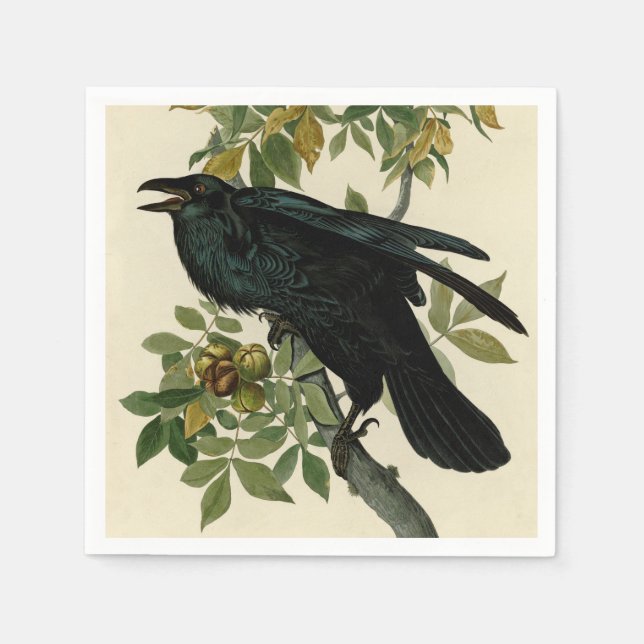 Audubon Raven Bird Classic Artwork Napkin (Front)