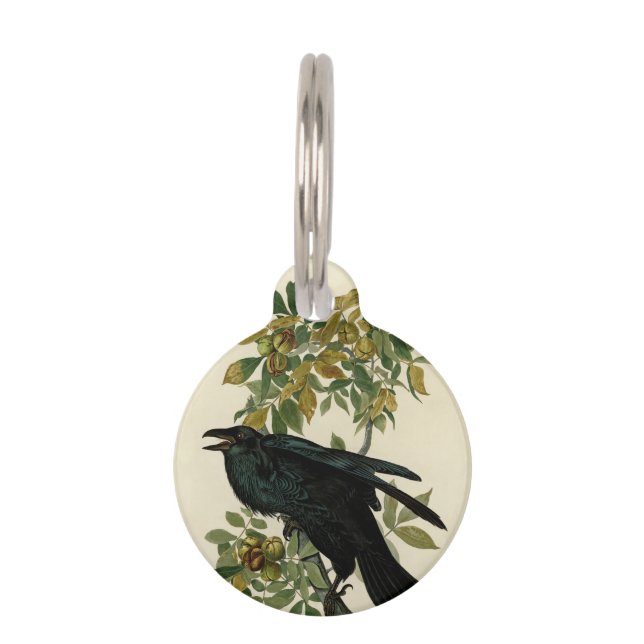 Audubon Raven Bird Classic Artwork Pet Tag (Front)