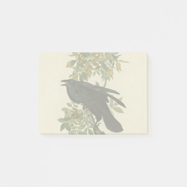Audubon Raven Bird Classic Artwork Post-it Notes (Front)