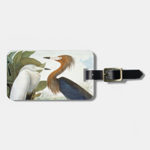 Audubon: Reddish Egret Or Purple Heron Luggage Tag