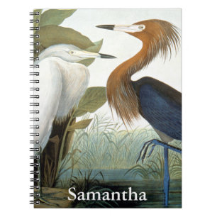 Audubon: Reddish Egret Or Purple Heron Spiral Notebook