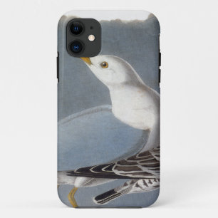 Audubon: Ring-Billed Gull Case-Mate iPhone Case