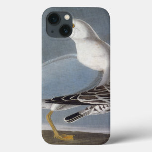 Audubon: Ring-Billed Gull iPhone 13 Case
