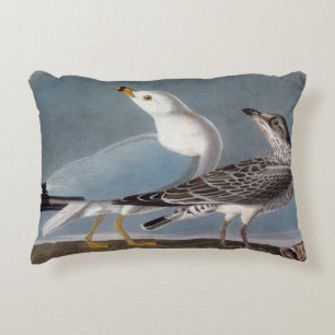 Audubon: Ring-Billed Gull Decorative Cushion