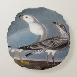 Audubon: Ring-Billed Gull Round Cushion
