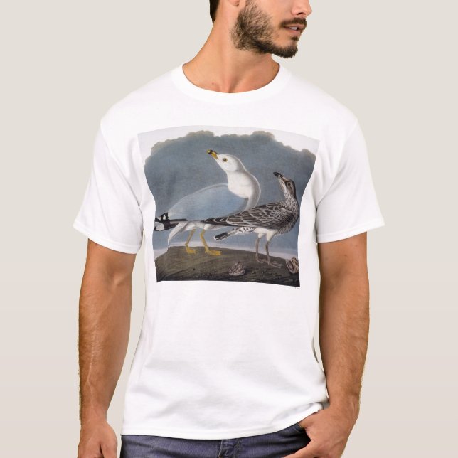 Audubon: Ring-Billed Gull T-Shirt (Front)
