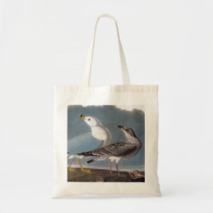 Audubon: Ring-Billed Gull Tote Bag