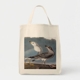 Audubon: Ring-Billed Gull Tote Bag