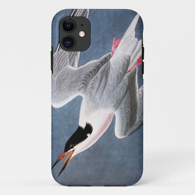 Audubon: Roseate Tern Case-Mate iPhone Case (Back)
