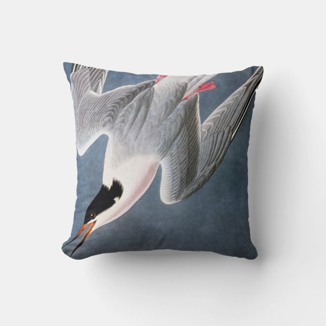 Audubon: Roseate Tern Cushion (Front)